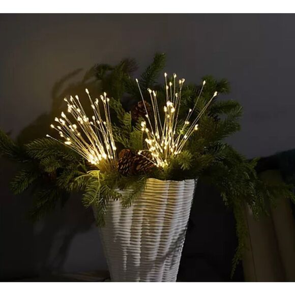 Bethlehem Stake Lights (2) Star Bursts Remote Black Wire Multicolor Timer NWOT - Picture 4 of 4